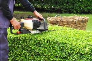 Aurich Gartenpflege Gartengestaltung Winterdienst Dienstleistungen